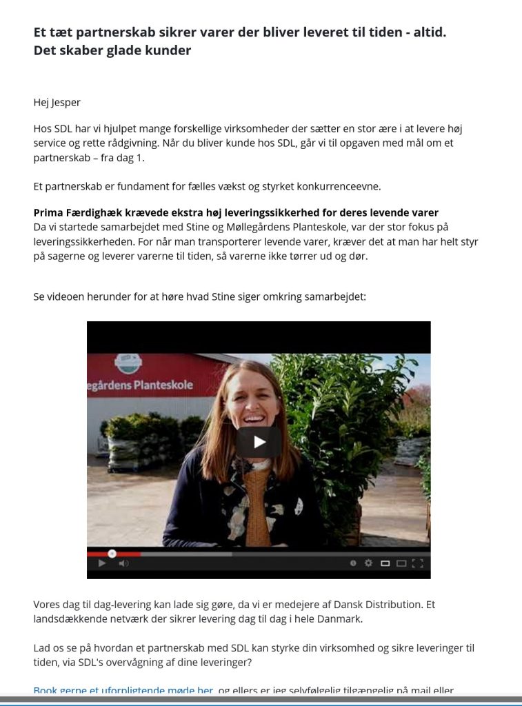 Eksempel på nyhedsbrev fra SDL